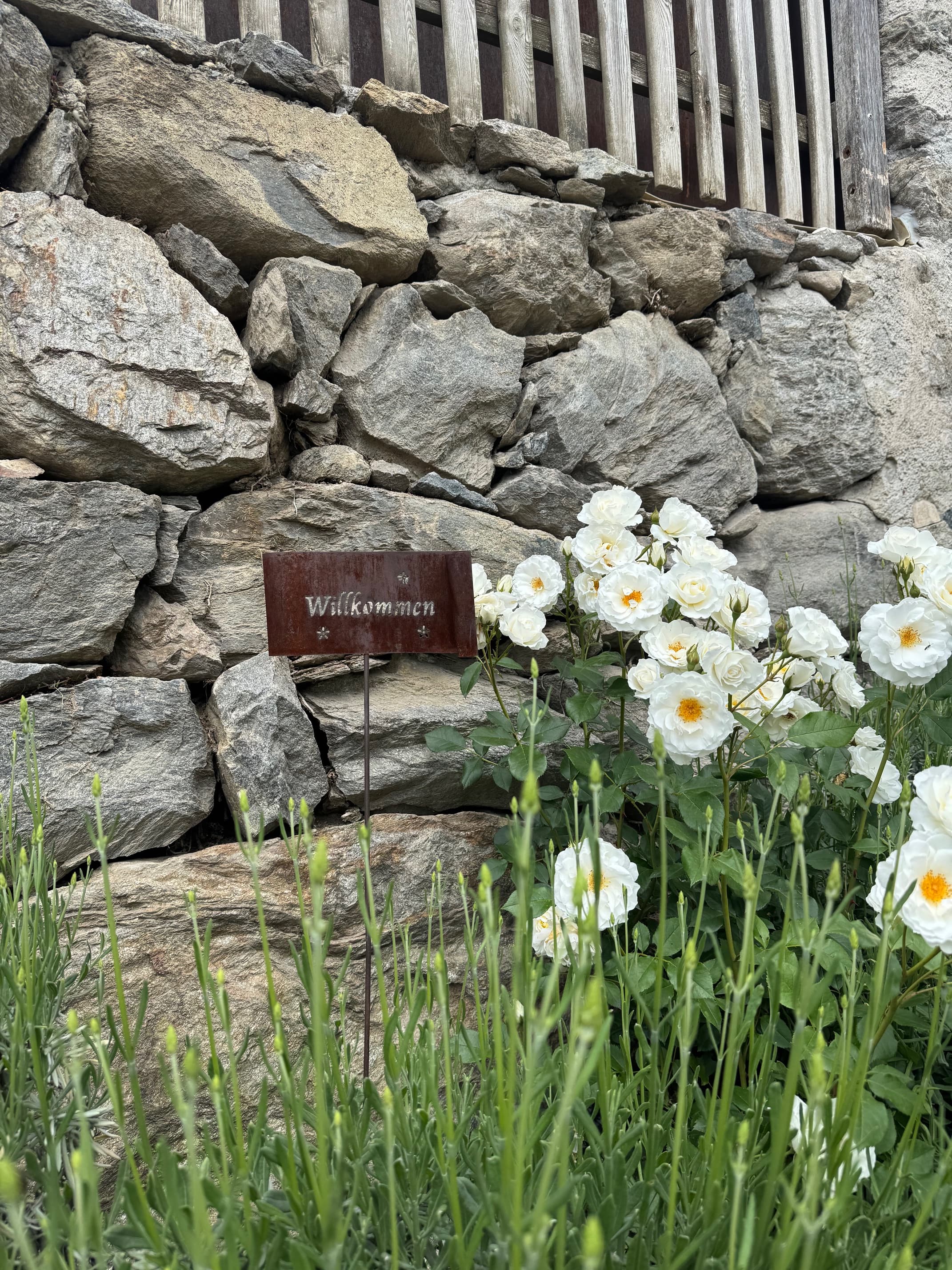 Ferienwohnung mit Garten und Pool in Algund - Ideal für einen Bergurlaub 